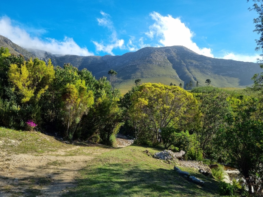 0 Bedroom Property for Sale in Joubertina Eastern Cape